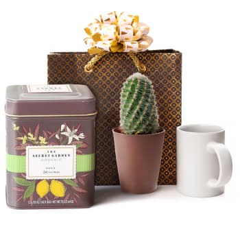 Cactus and Tea Delight – view 2