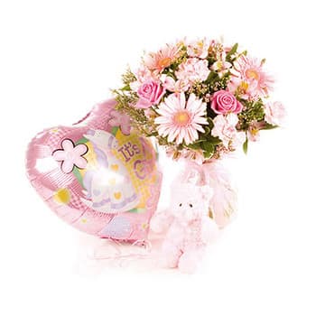 Babies Bloom – view 2
