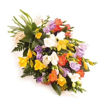 Colorful Freesia Bloom – view 2