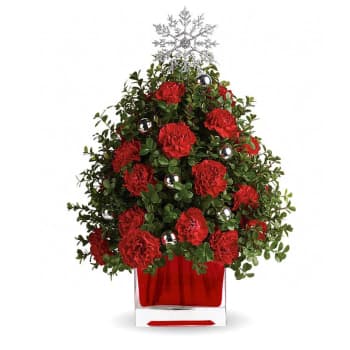 Amazing Holiday Carnations – view 2