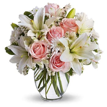 Elegant Display – view 2