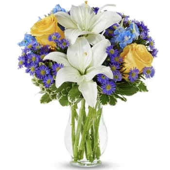 Lovely Lily – view 2
