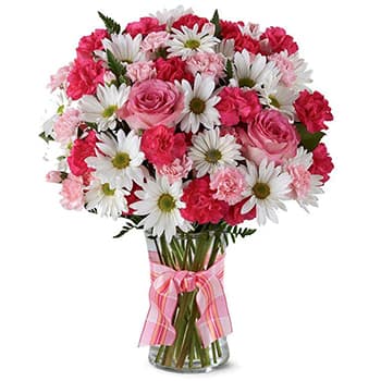 Princess Perfection – view 2